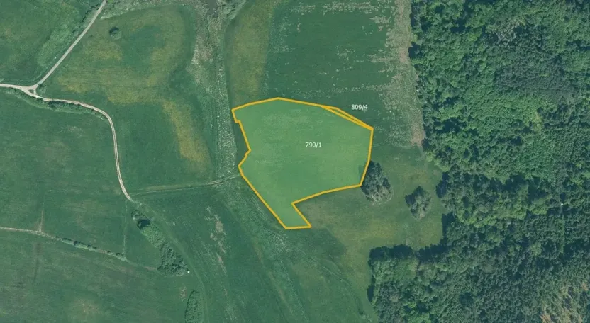 Prodej louky, Cerhonice, 41957 m2