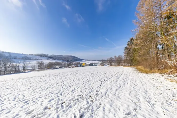 Prodej komerčního pozemku, Valchov, 6525 m2