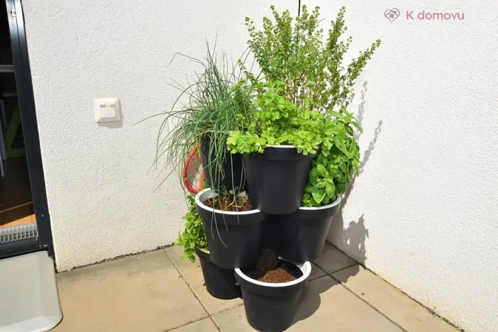 Pronájem rodinného domu, Brno, Dubová, 160 m2