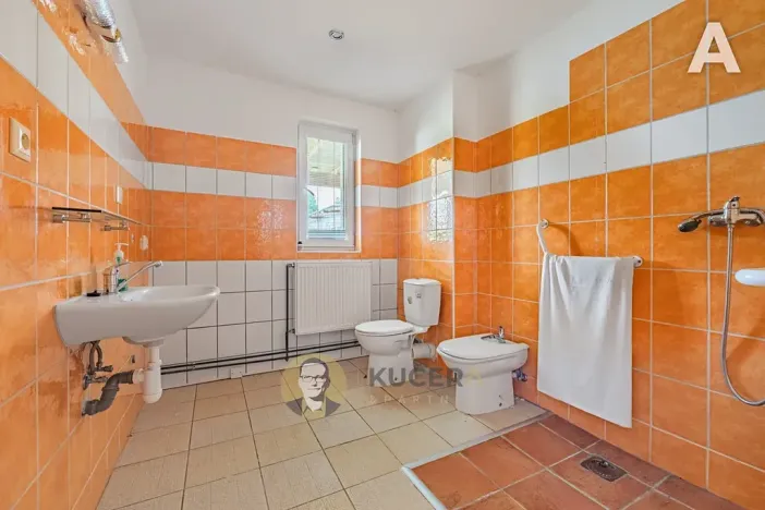 Prodej komerční nemovitosti, Velká Chmelištná, 550 m2