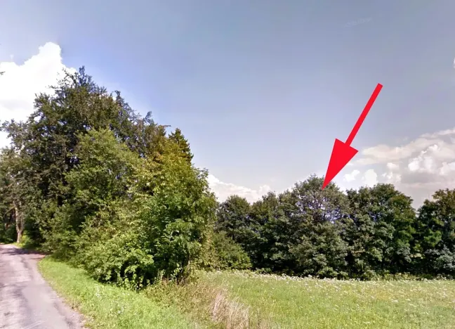 Prodej lesa, Cotkytle, 7064 m2