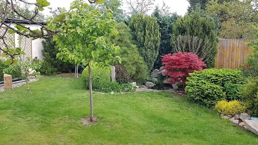 Pronájem bytu 4+kk, Židlochovice, Tyršova, 85 m2