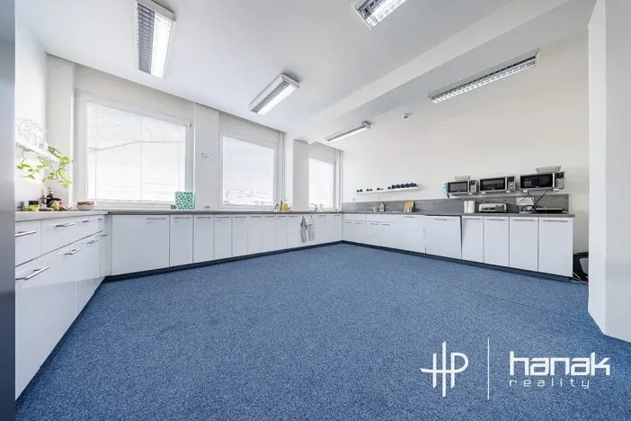Pronájem kanceláře, Olomouc, Karolíny Světlé, 100 m2