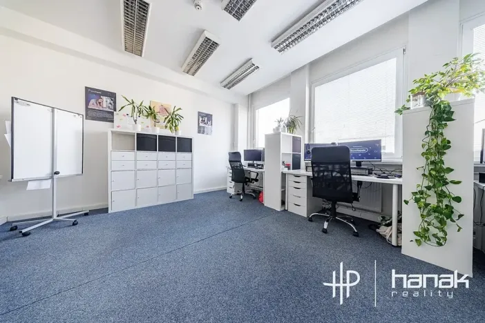 Pronájem kanceláře, Olomouc, Karolíny Světlé, 30 m2