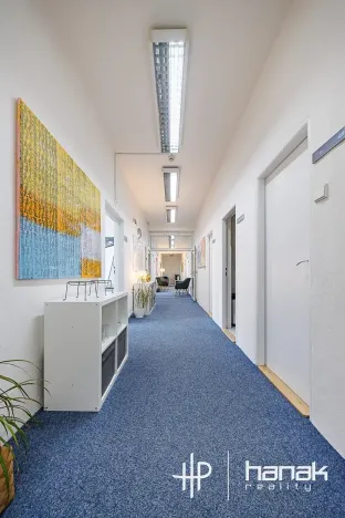 Pronájem kanceláře, Olomouc, Karolíny Světlé, 200 m2