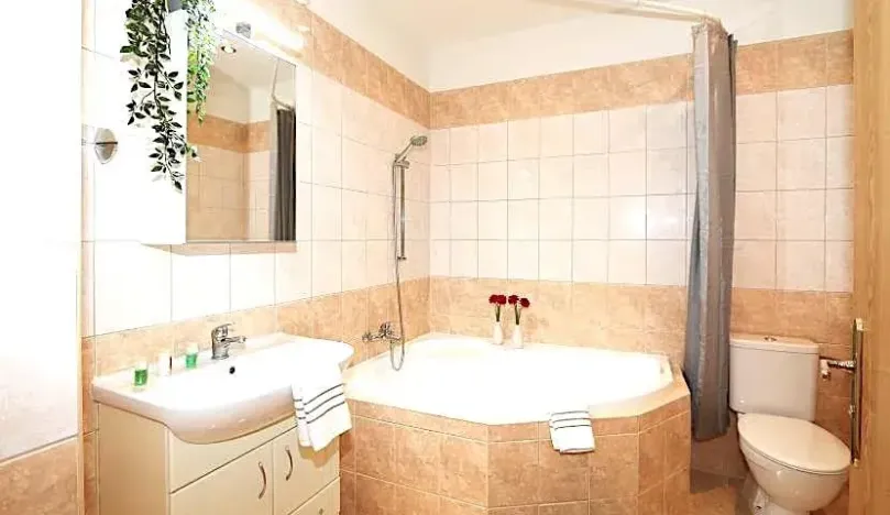 Pronájem bytu 3+kk, Praha - Vinohrady, Moravská, 65 m2