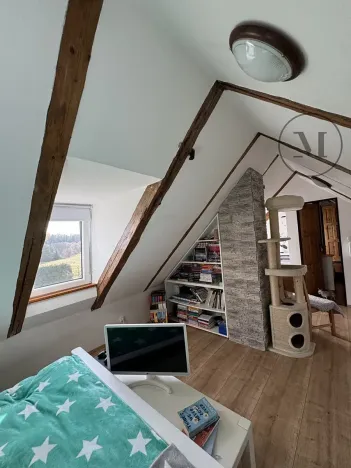 Prodej rodinného domu, Nová Ves, 480 m2