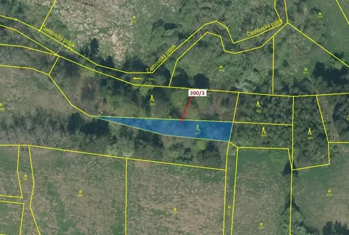 Dražba lesa, Psárov, 1011 m2