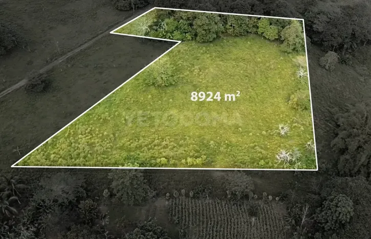 Prodej pozemku pro bydlení, Puerto Jiménez, Kostarika, Calle Los Pollos, 8924 m2