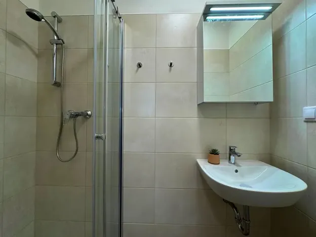 Pronájem bytu 1+kk, Brno, Francouzská, 22 m2