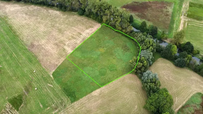 Prodej louky, Šestajovice, 3641 m2