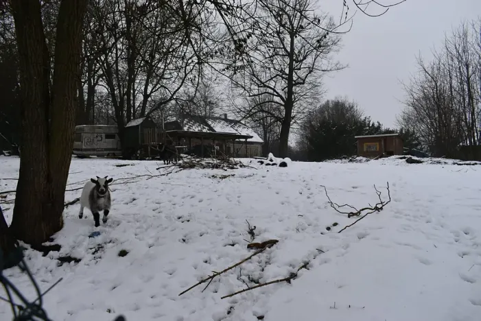 Prodej pozemku pro bydlení, Varnsdorf, 1077 m2