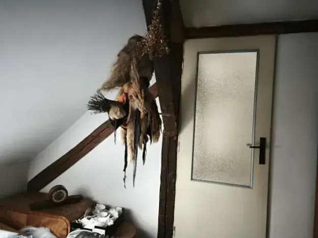 Prodej chalupy, Podbořany, 120 m2