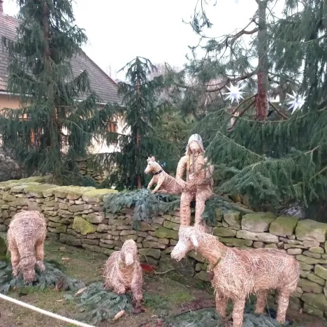 Prodej vícegeneračního domu, Libice nad Doubravou, 250 m2