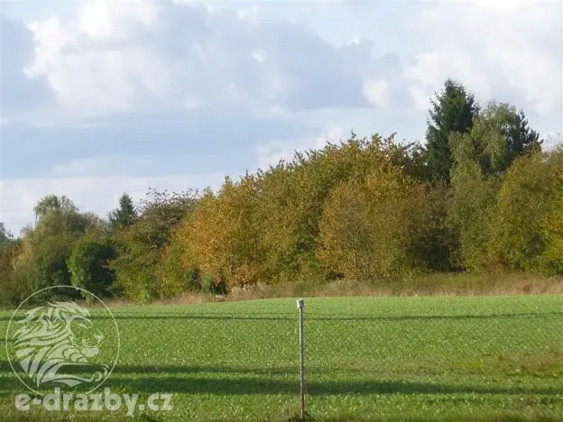 Dražba rodinného domu, Chotěboř, U Sv. Trojice, 100 m2