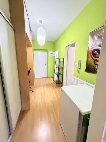 Pronájem bytu 1+kk, Holubice, Buková, 40 m2