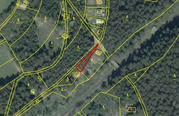 Prodej lesa, Vyskytná nad Jihlavou, 257 m2