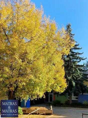 Prodej bytu 2+1, Brno, Svatopluka Čecha, 49 m2