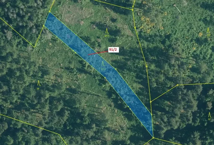 Dražba lesa, Pačejov, 1363 m2