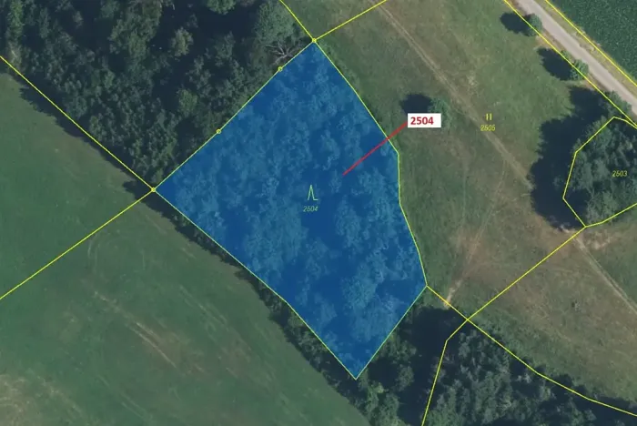 Dražba lesa, Písečná, 3497 m2