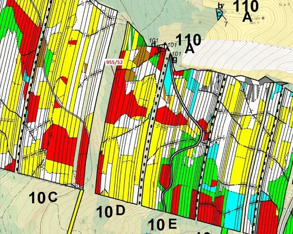 Dražba lesa, Nová Hradečná, 12014 m2