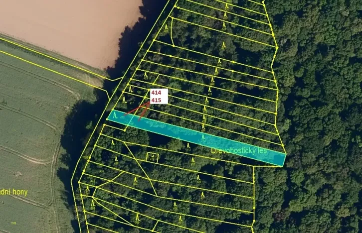 Dražba lesa, Hradčany-Kobeřice, 975 m2