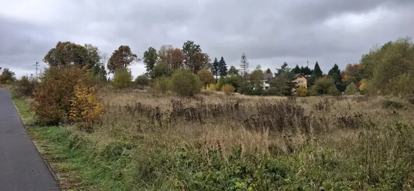 Prodej pozemku pro bydlení, Skalná, Písečná, 10095 m2