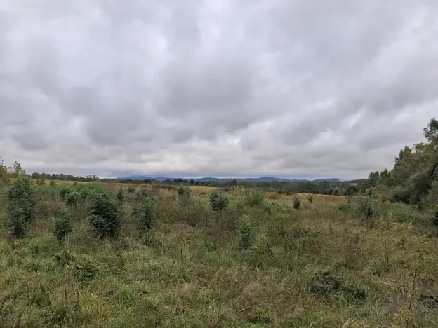 Prodej komerčního pozemku, Chodov, Nejdecká, 3546 m2