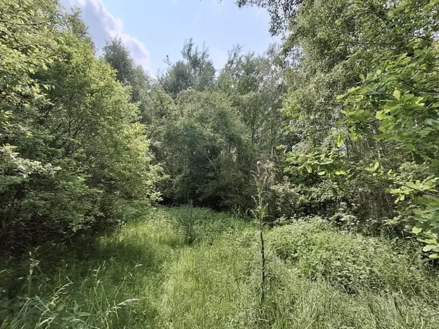 Prodej pozemku, Pomezí nad Ohří, 39941 m2