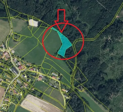 Prodej lesa, Boháňka, 3705 m2