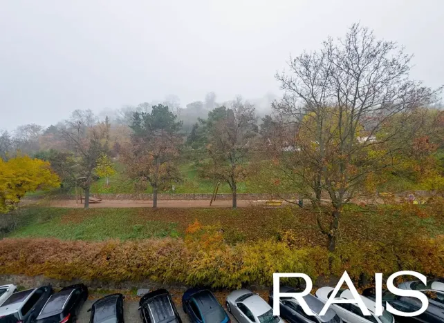 Prodej bytu 1+kk, Brno, Pellicova, 114 m2