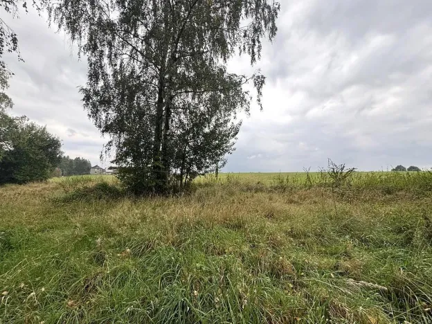 Prodej pozemku, Lučina, 2602 m2