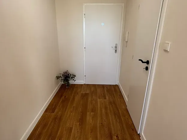 Pronájem bytu 1+kk, Frýdek-Místek, Dr. M. Tyrše, 33 m2