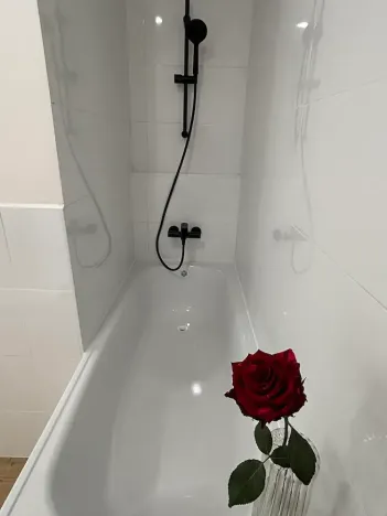 Pronájem bytu 1+kk, Frýdek-Místek, Dr. M. Tyrše, 33 m2