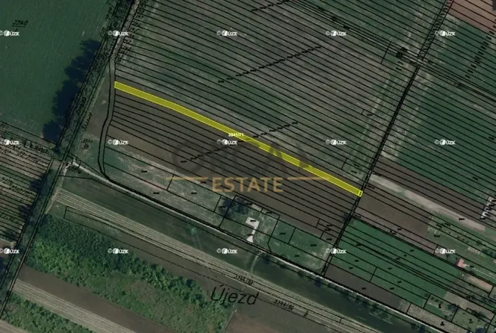 Prodej pole, Tvrdonice, 1967 m2