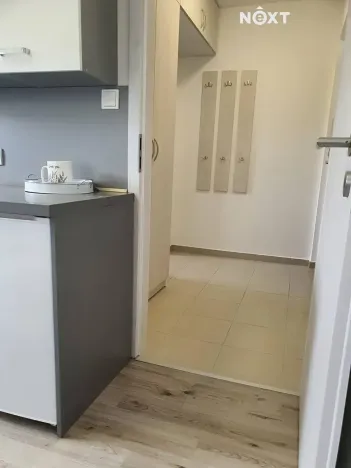 Pronájem bytu 2+1, Plzeň, Žlutická, 33 m2