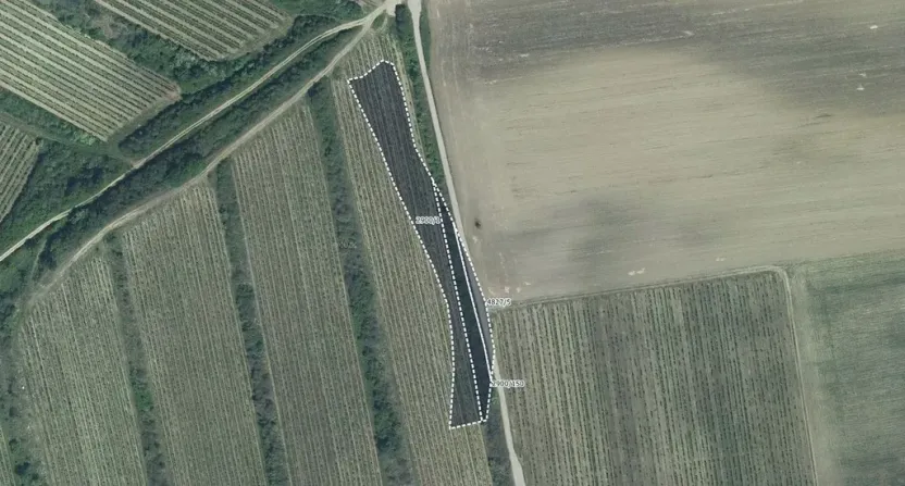 Prodej sadu/vinice, Čejkovice, 3575 m2