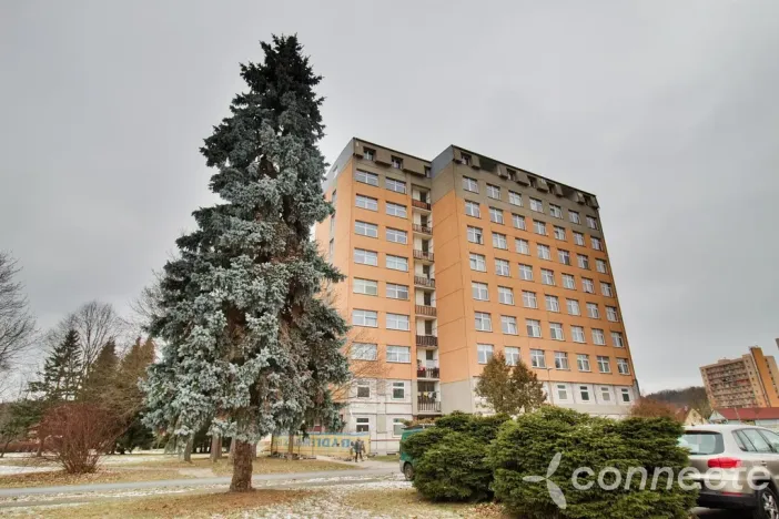 Pronájem bytu 2+kk, Zruč nad Sázavou, náměstí Míru, 36 m2