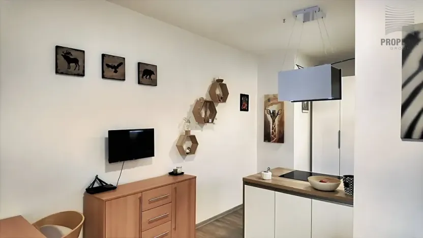 Prodej bytu 1+kk, Hustopeče, Mrštíkova, 50 m2