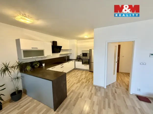 Pronájem bytu 1+kk, Brno, Řípská, 48 m2