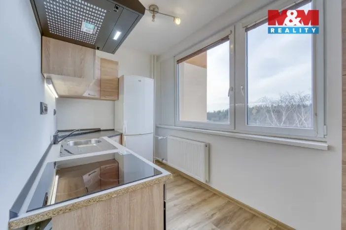 Pronájem bytu 2+1, Plzeň - Nová Hospoda, 58 m2