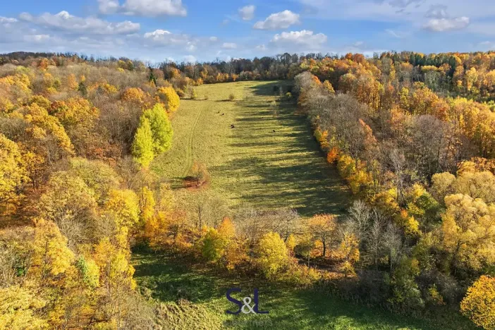 Prodej louky, Stvolínky, 37727 m2