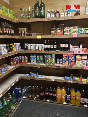 Prodej obchodního prostoru, Ostrava - Mariánské Hory, Vršovců, 20 m2