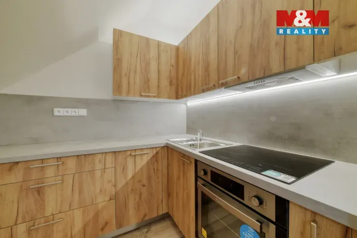 Prodej činžovního domu, Luby, Revoluční, 218 m2