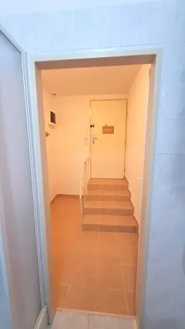 Pronájem bytu 1+kk, Praha - Braník, Pod vinohradem, 27 m2