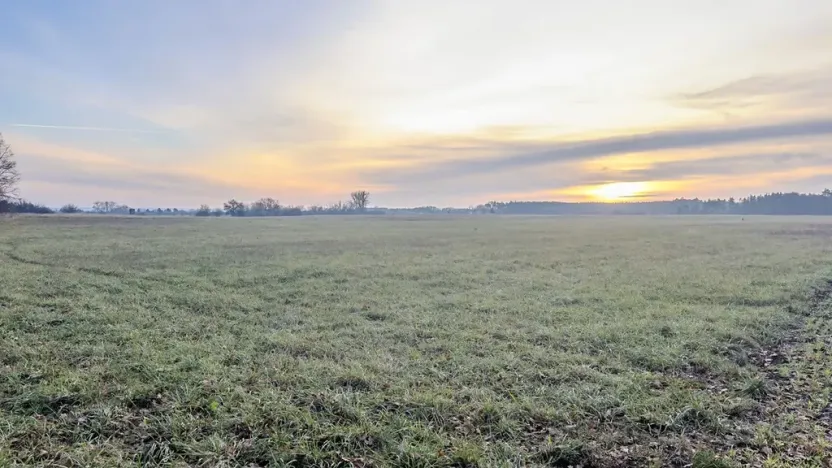 Prodej pole, Oseček, 76028 m2