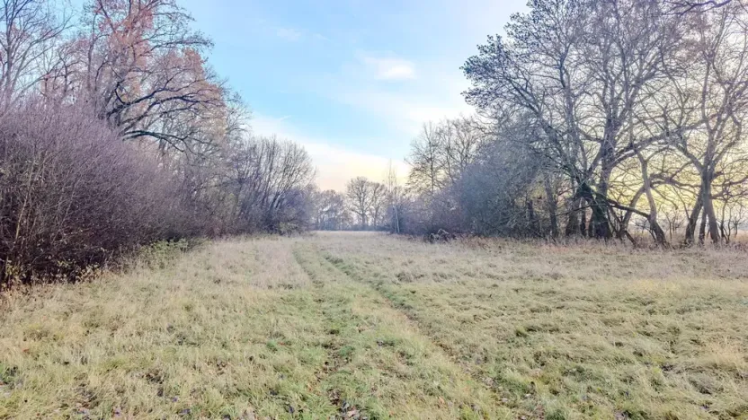 Prodej pole, Oseček, 76028 m2