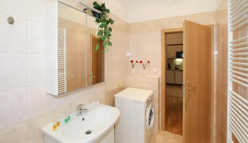 Pronájem bytu 2+kk, Praha - Vinohrady, Na Kozačce, 48 m2