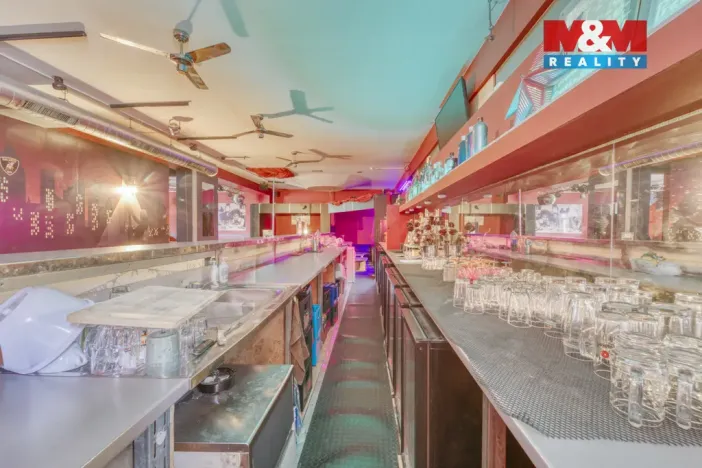 Pronájem obchodního prostoru, Plzeň - Jižní Předměstí, Havlíčkova, 185 m2