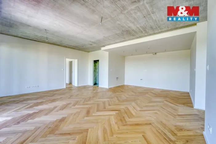 Prodej bytu 3+kk, Plzeň - Východní Předměstí, Kamenická, 134 m2